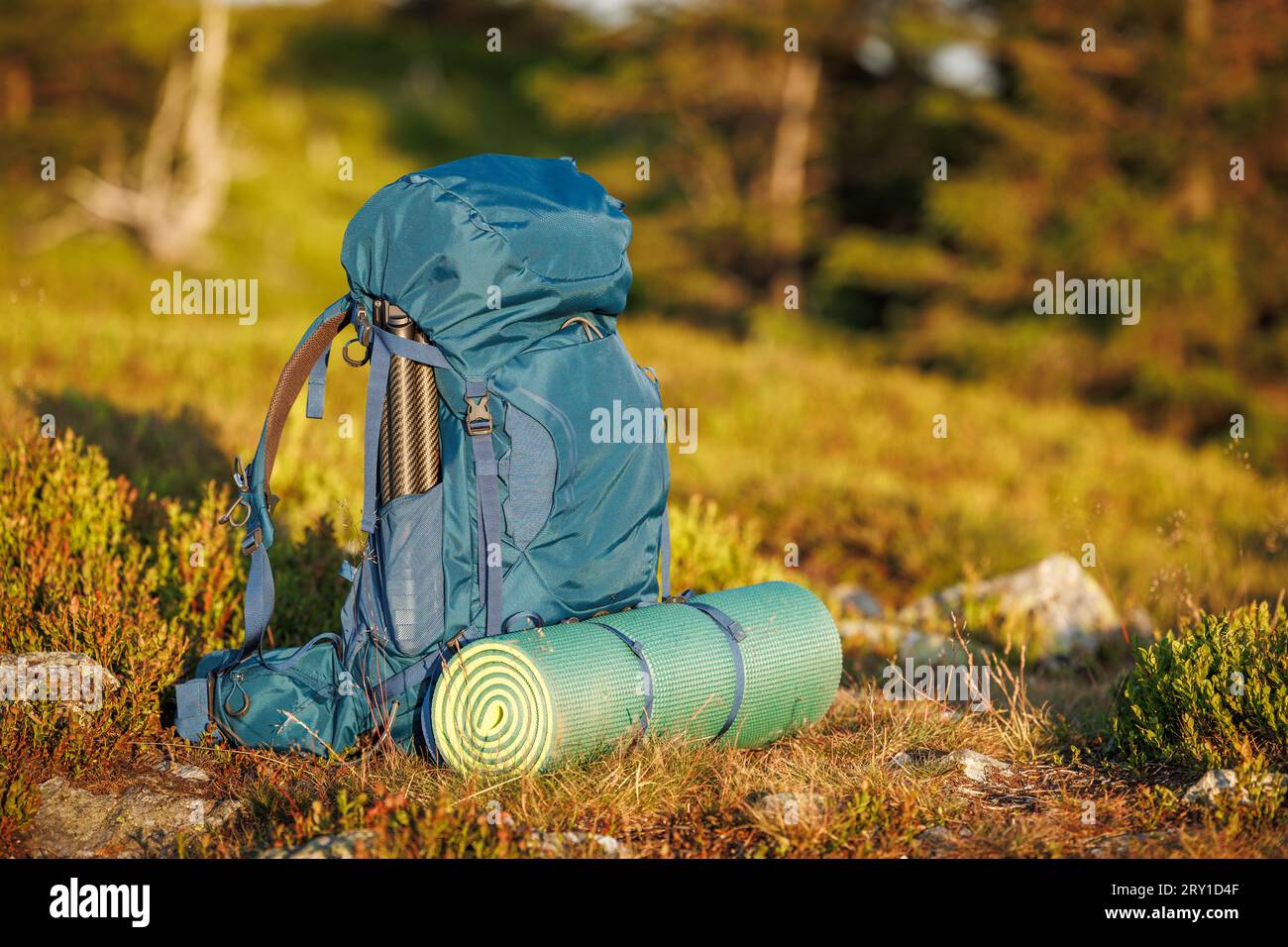 Hiking backpack with sleeping pad during trek in forest. Camping and