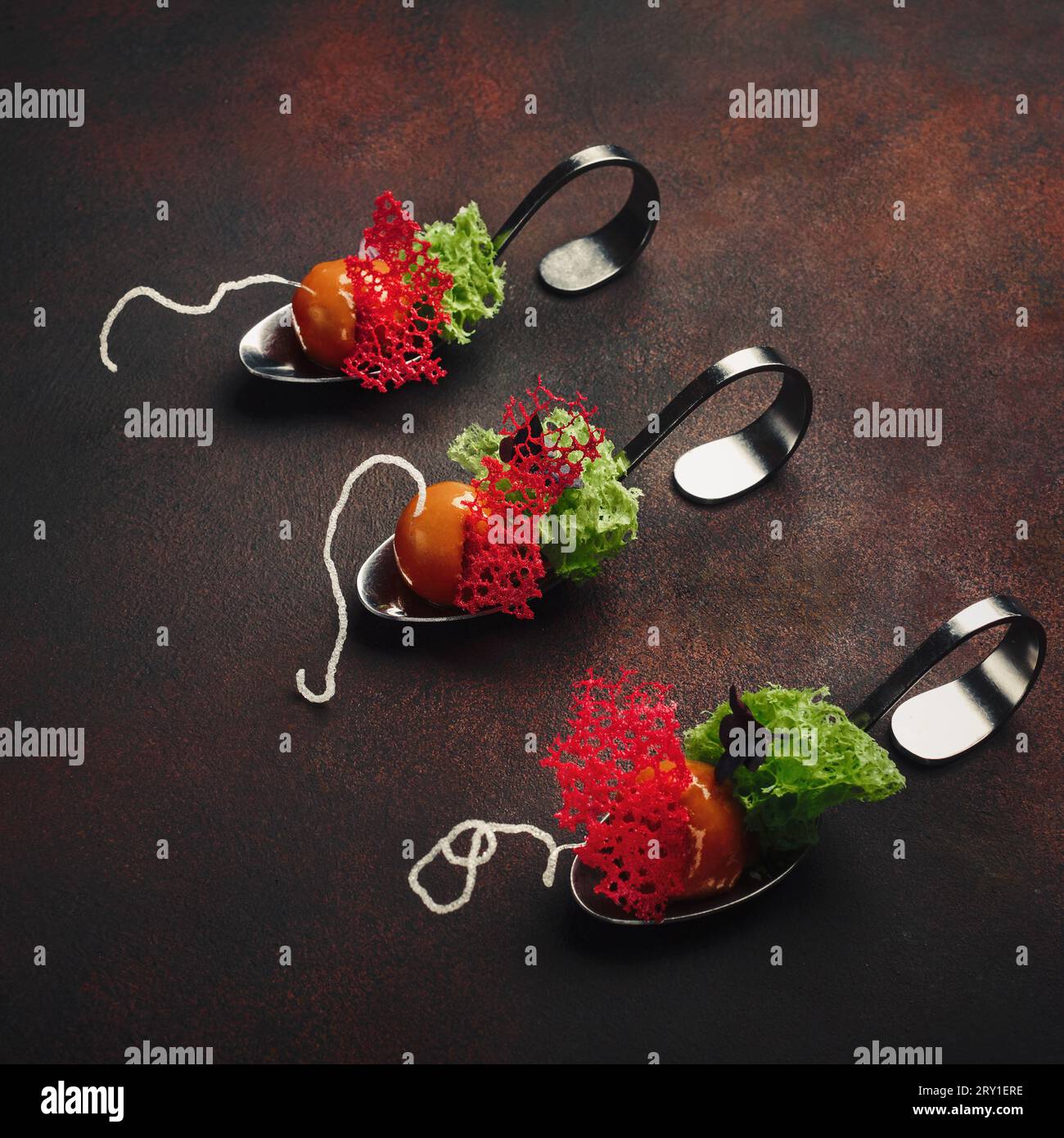 Molecular modern cuisine galantine duck in spoons on rusty background. Top view. Stock Photo