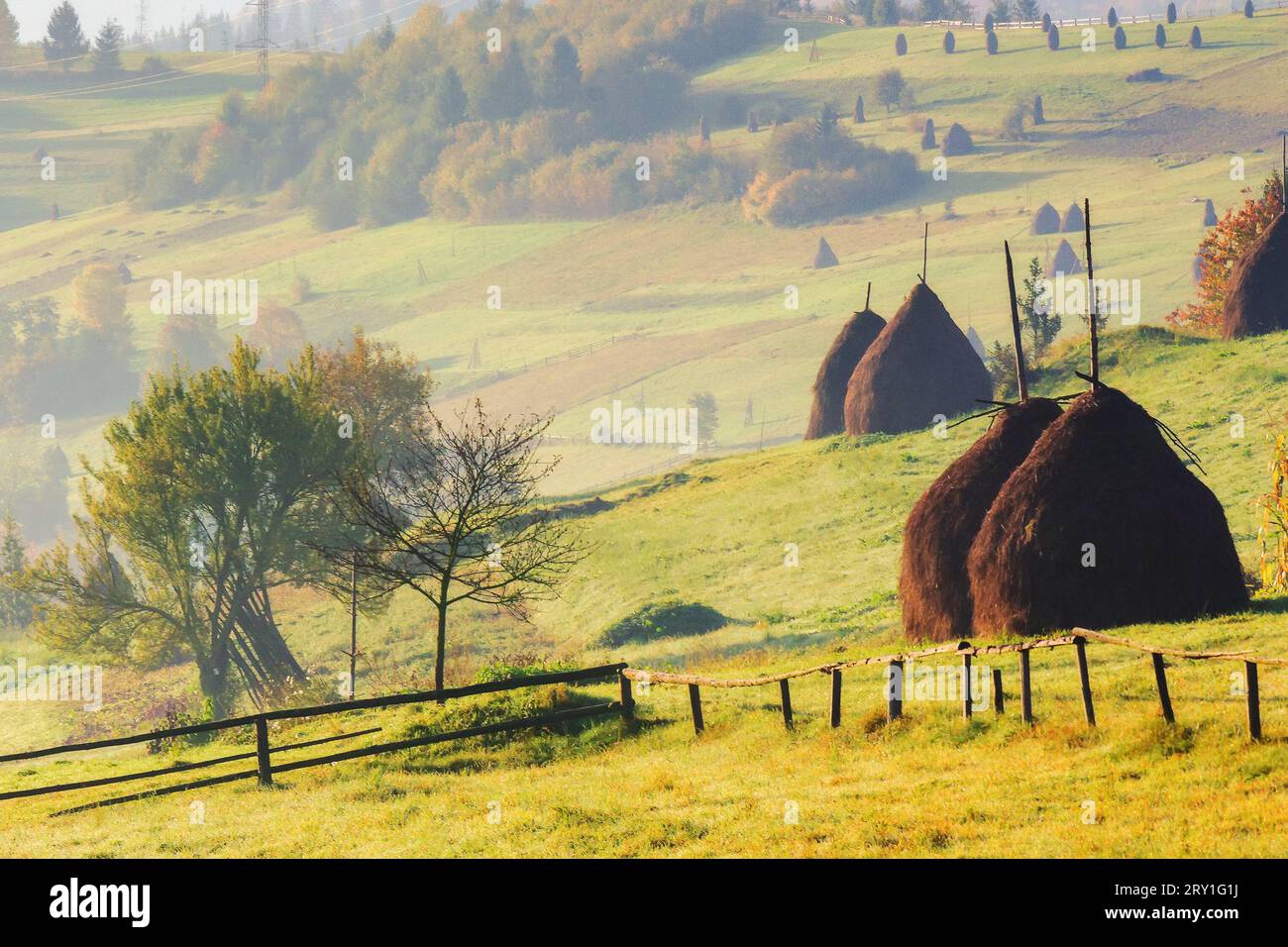 mountainous rural landscape with haystacks behind the fence on the field. countryside scenery with rolling hills in autumn Stock Photo