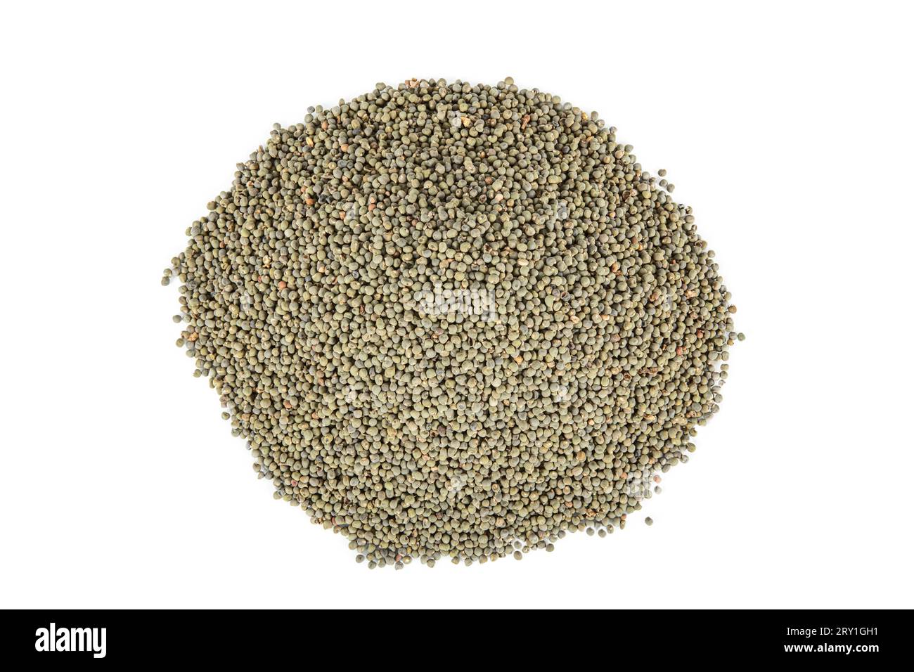 Okra seeds, large quantity of organic okra seeds. Detail of dried okra