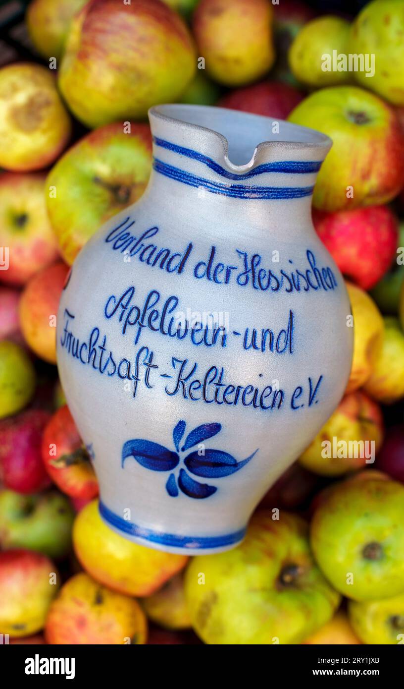 28 September 2023, Hesse, Frankfurt/Main: A 'Bembel' from the Association of Hessian Cider and Fruit Juice Presses (Verband der Hessischen Apfelwein- und Fruchtsaft-Keltereien e.V.) lies in a basket of apples from meadow orchards, while the Association of Hessian Cider and Fruit Juice Presses (Verband der Hessischen Apfelwein- und Fruchtsaft-Keltereien e.V.) provides information about the start of the pressing season, the apple harvest, and trends and expectations for this year's cider. Photo: Andreas Arnold/dpa Stock Photo