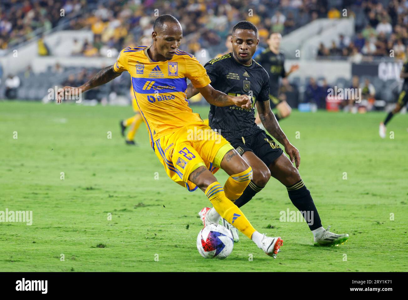 Tigres hi-res stock photography and images - Page 8 - Alamy