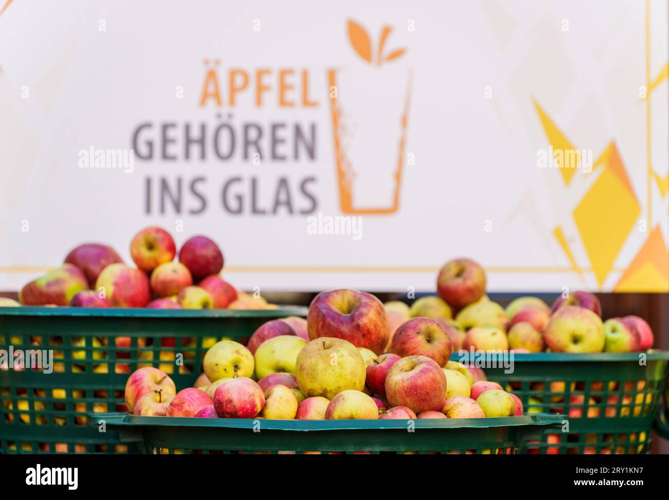 28 September 2023, Hesse, Frankfurt/Main: Apples from meadow orchards lie in baskets in front of a sign reading 'Apples belong in the glass,' while the Association of Hessian Cider and Fruit Juice Presses (Verband der Hessischen Apfelwein- und Fruchtsaft-Keltereien e.V.) provides information about the start of the pressing season, the apple harvest, and trends and expectations for this year's cider. Photo: Andreas Arnold/dpa Stock Photo