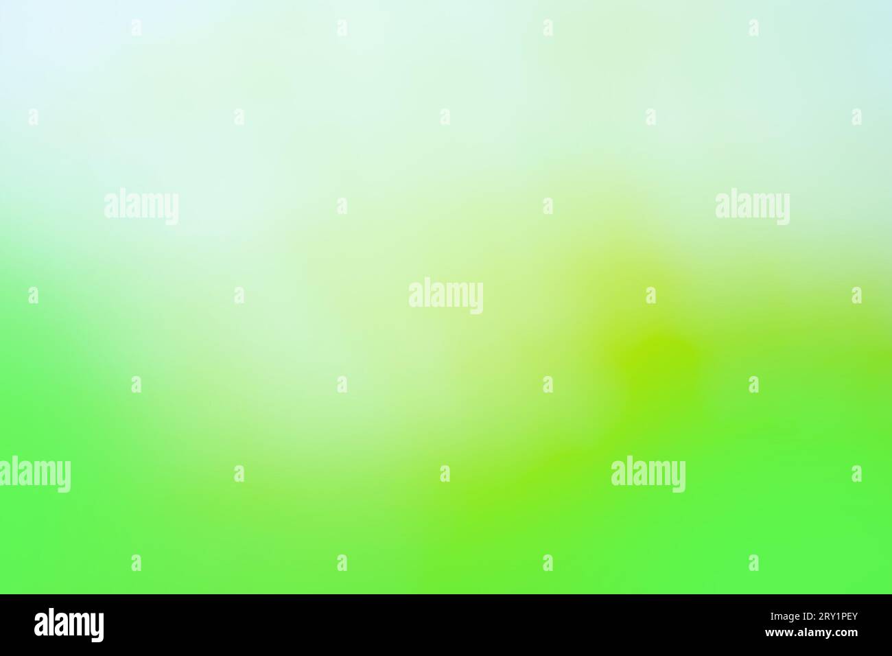 Fresh green grass blurred background. Amazing green plants blurred