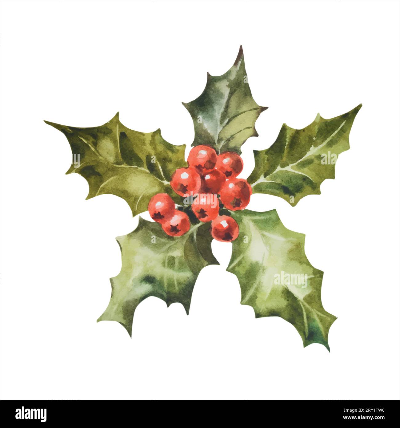 Red Berries Vector Set Bunch Of Holly Berries Set Of Christmas And