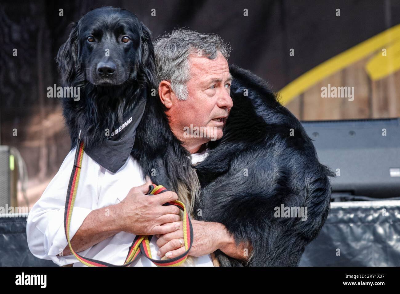 Labradoodle Doubaz, service, assistance and therapy dog with human companion John, Invictus Games Düsseldorf, Germany Stock Photo
