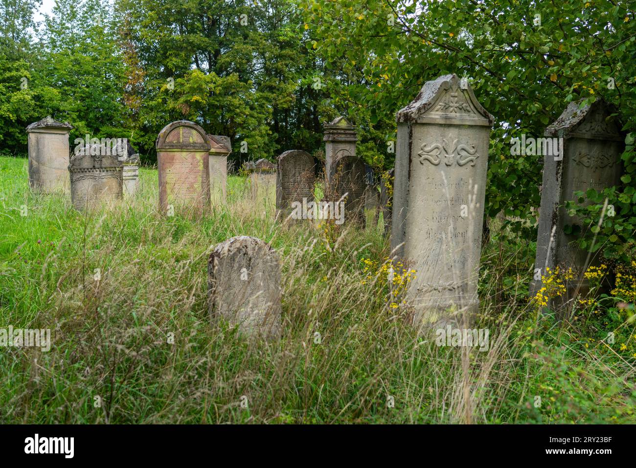 Fundraiser by Manuela Schmuck : Helga Schmuck, ihr letzter Weg, image size:1300x956