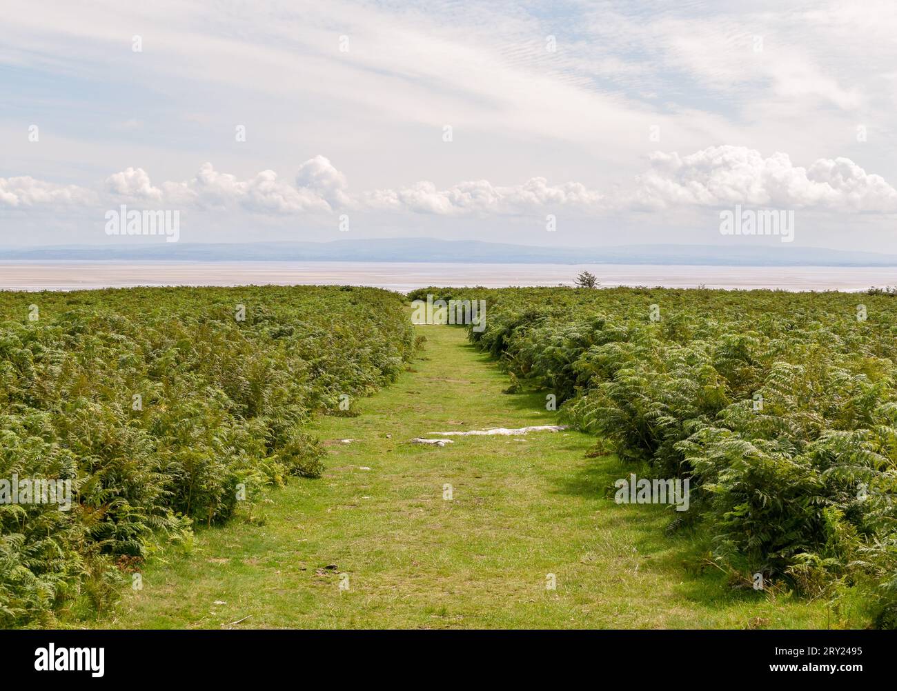 exploring-birkrigg-common-hi-res-stock-photography-and-images-alamy
