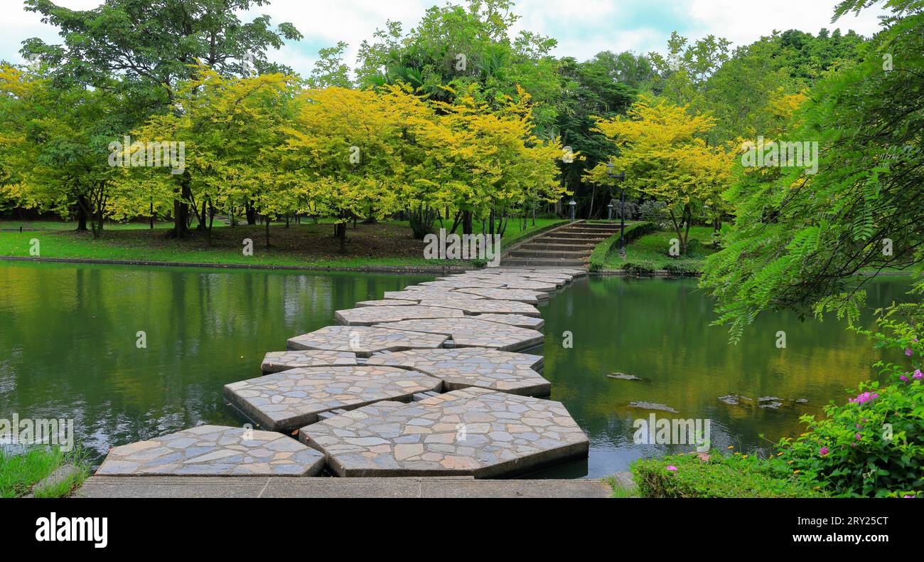 A series of stepping stones over a garden pond. Stock Photo