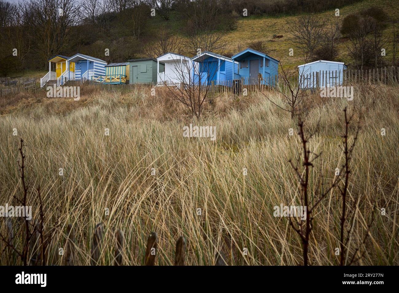 A grey and mizzly March afternoon at Coldingham Sands, and a row of ...