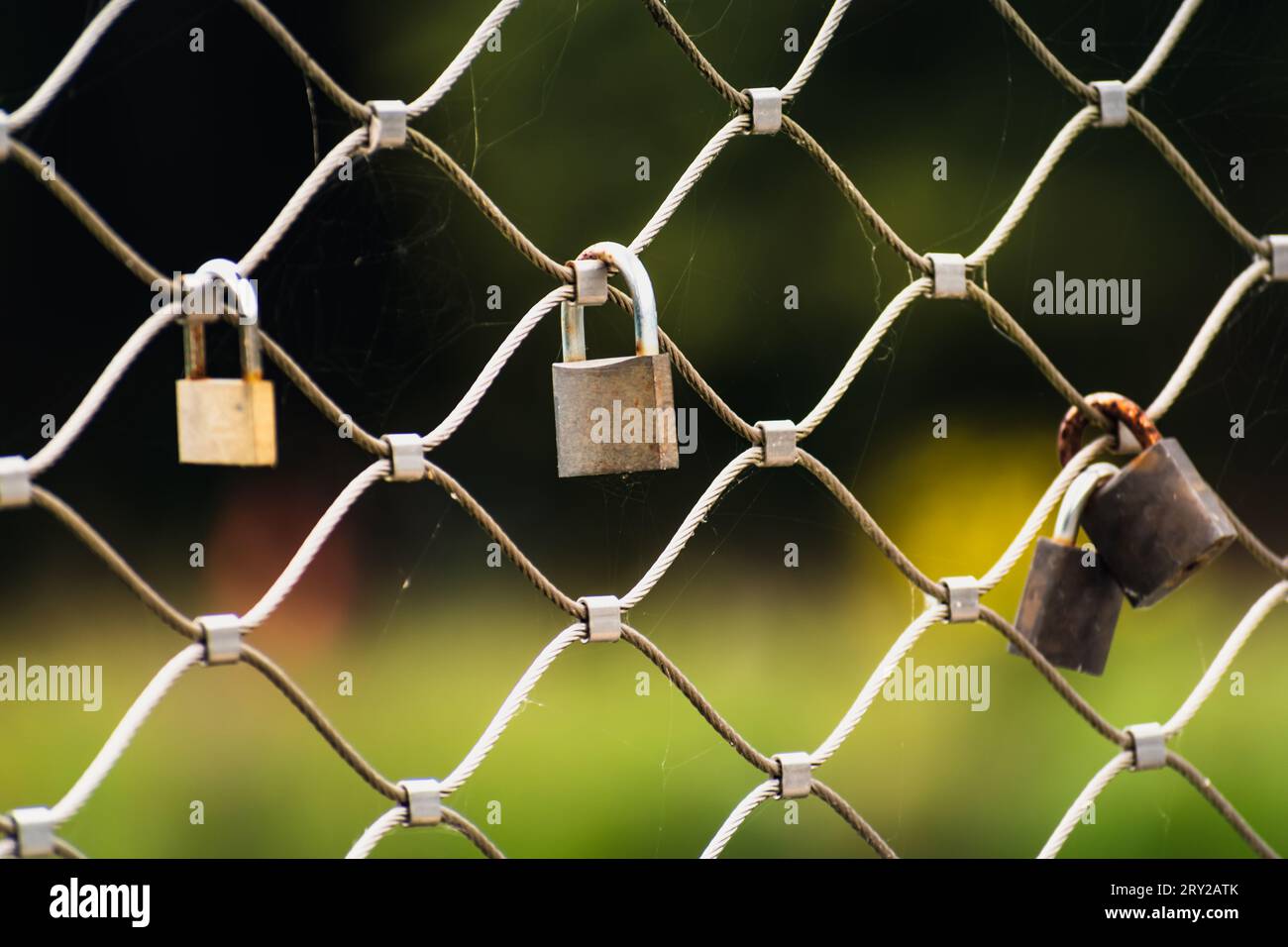 Rusty padlocks attached to the metal railing of a bridge, tradition of ...