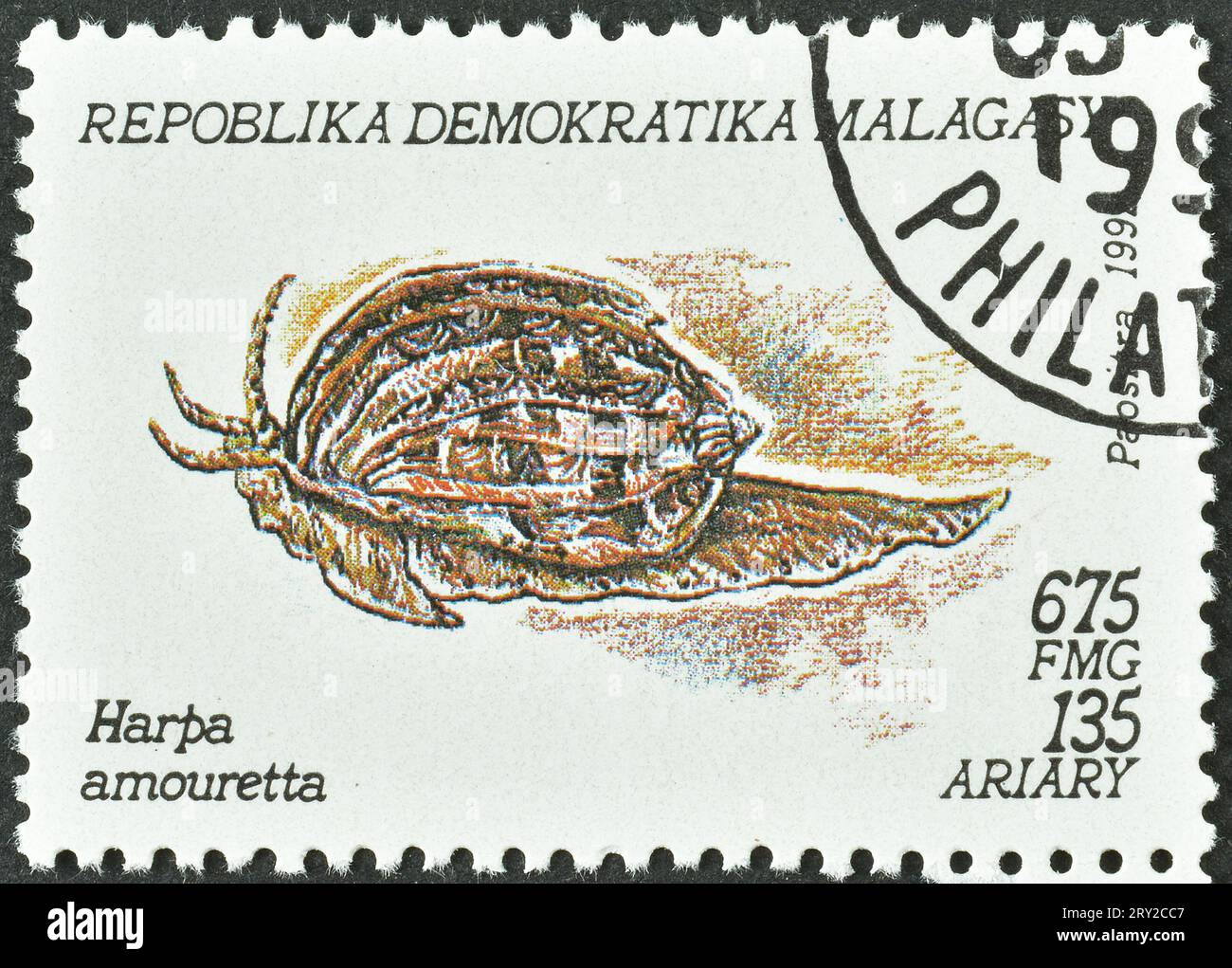 Cancelled postage stamp printed by Madagascar, that shows Lesser Harp (Harpa amouretta), circa 1992. Stock Photo