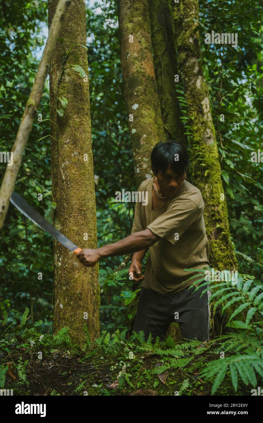 Adult man using sharp machete knife to clear way from green bushes while walking in rainforest Stock Photo