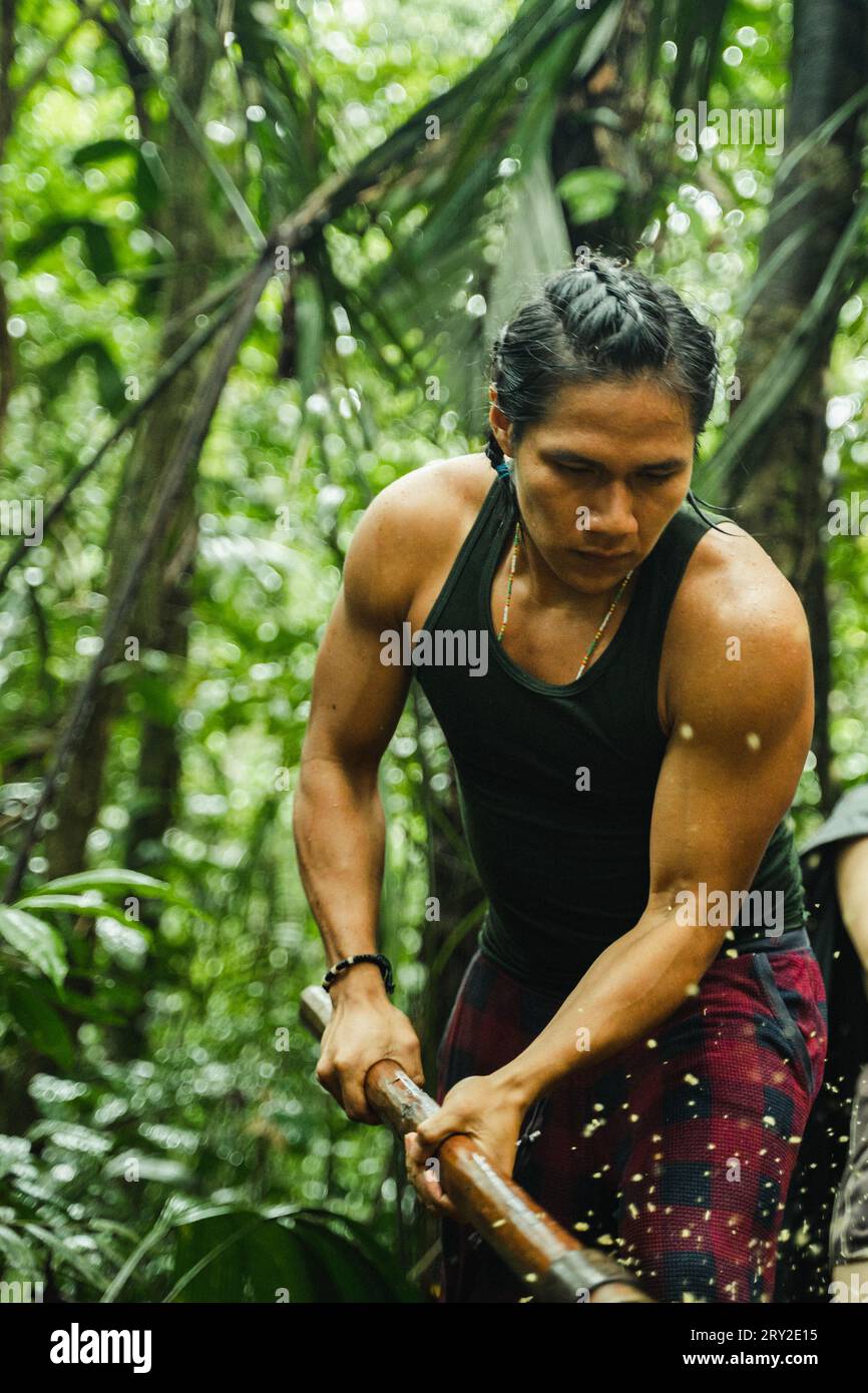 Focused ethnic man with braided hair working with stick while standing in lush greenery of Amazon rainforest Stock Photo