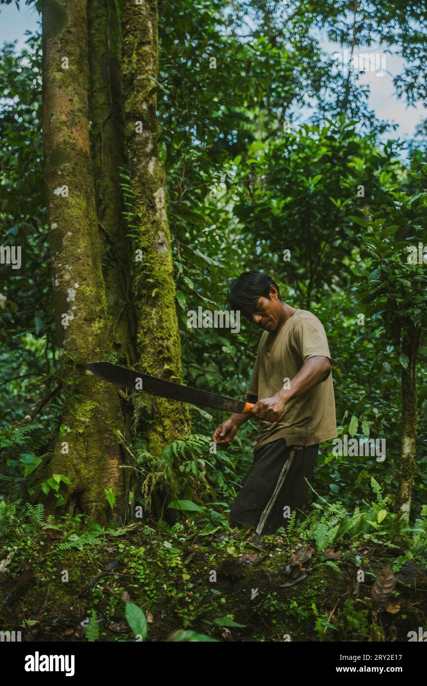 Side view of adult man using sharp machete knife to clear way from green bushes while walking in rainforest Stock Photo