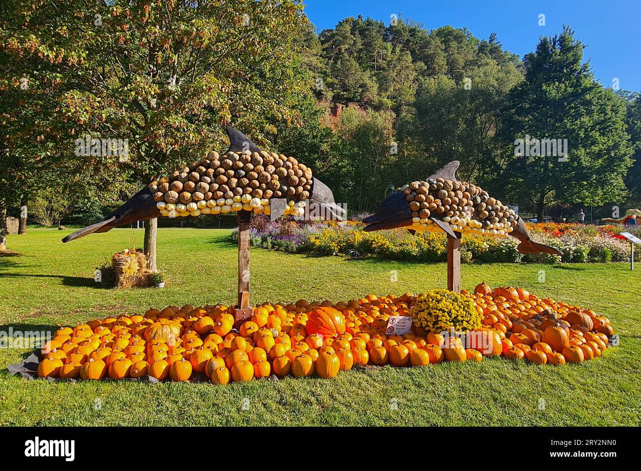 Kaiserslautern Themenfoto Herbst, Kuerbisausstellung Gartenschau