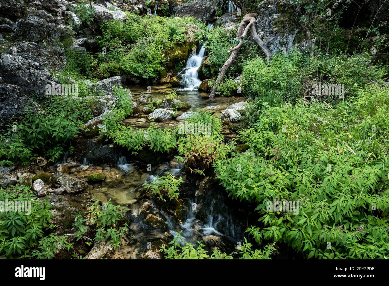 beautiful river in the mountain Stock Photo