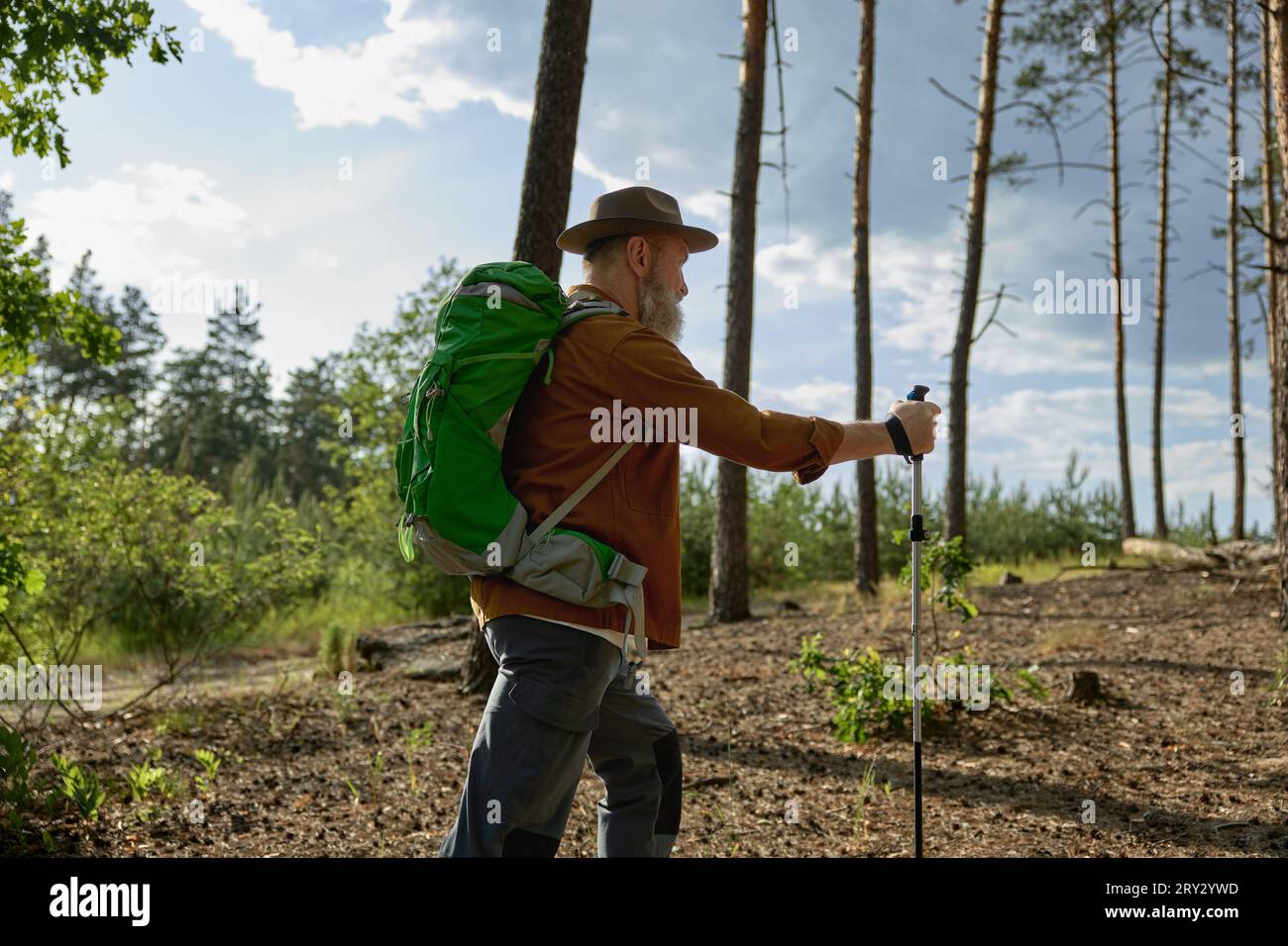 Senior man with walking poles hi-res stock photography and images - Alamy
