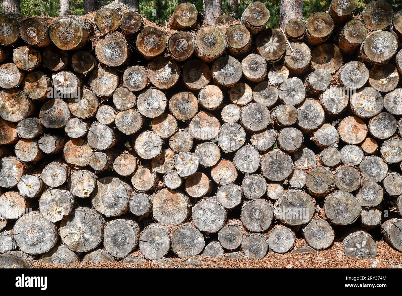 Cut and stacked firewood logs in a pattern Stock Photo - Alamy