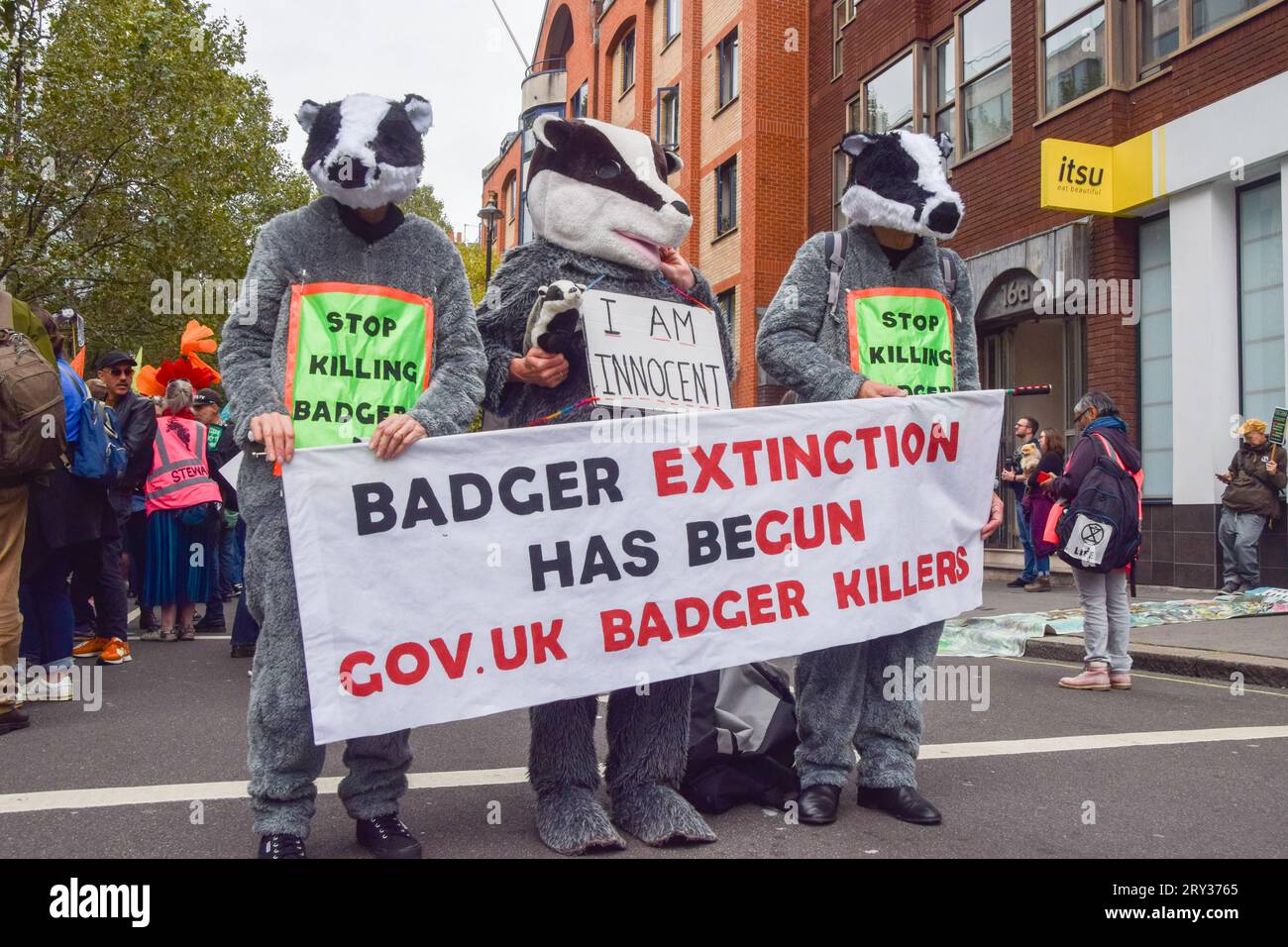 London, UK. 28th September 2023. Activists wearing badger costumes protest against the badger cull. Protesters and members of over 40 nature and environment NGOs gathered outside DEFRA (Department for Environment, Food and Rural Affairs) calling on the government to restore nature, following a damning report on the state of UK nature. Credit: Vuk Valcic/Alamy Live News Stock Photo