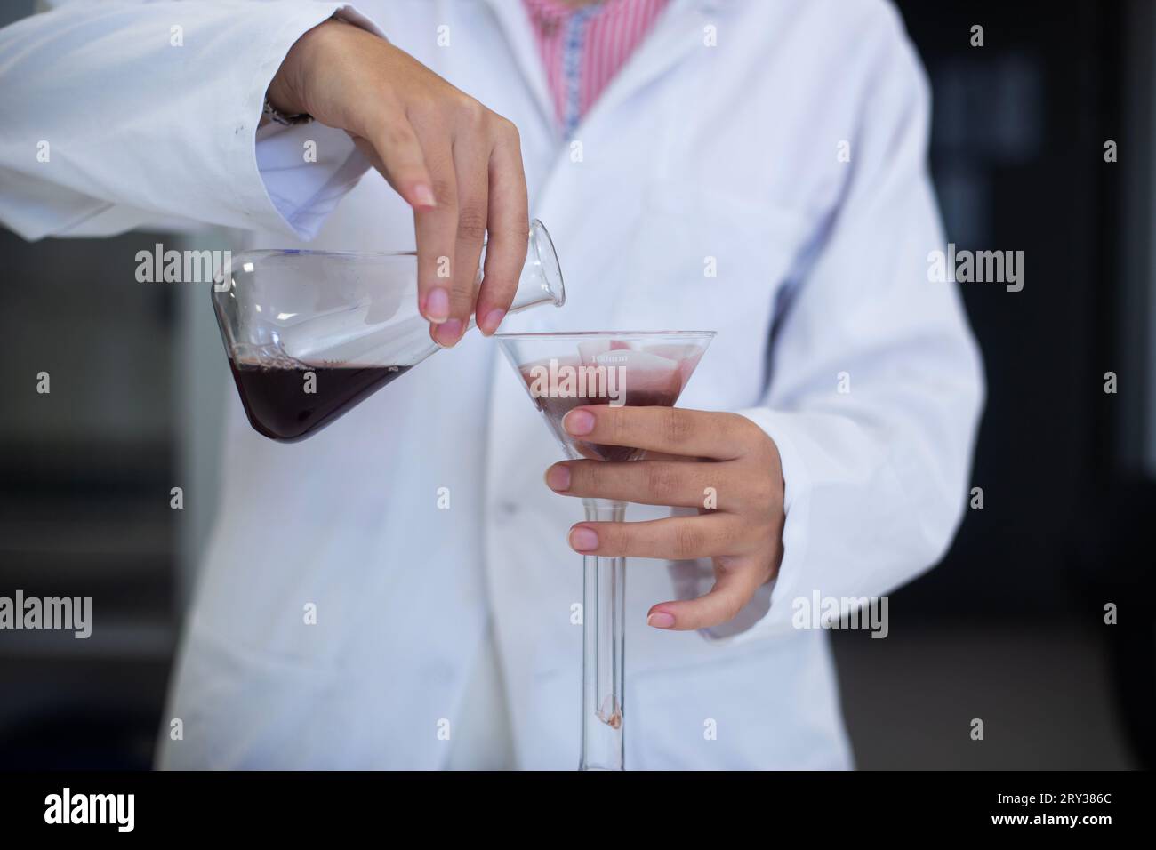 using laboratory filter paper at the bioengineering, biology and chemical laboratory Stock Photo
