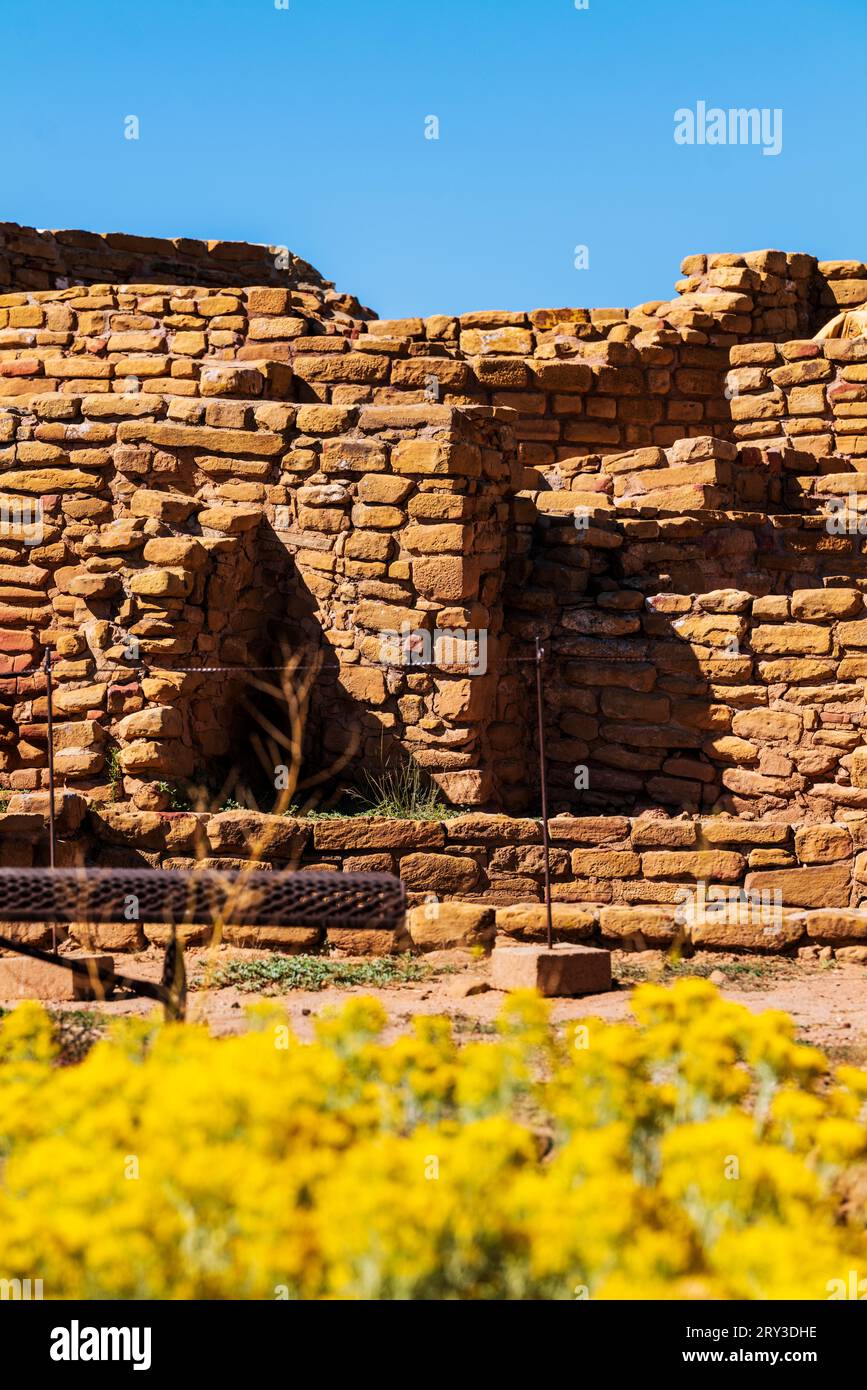 Detail of adobe brick Far View House; Mesa Verde National Park; Colorado; USA Stock Photo