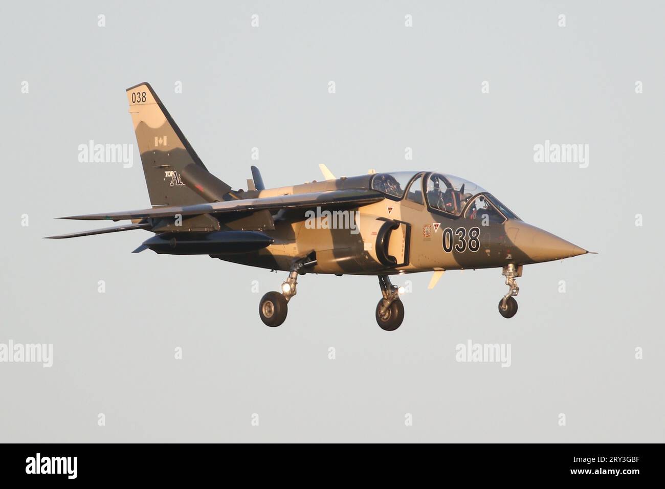 Civilian Alpha Jet from Canadian company, Top Aces landing at RAF Lakenheath after completing a training sortie with USAF F-15s. Stock Photo