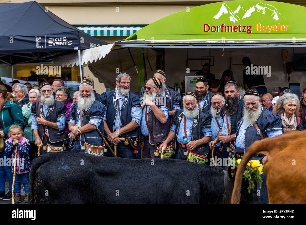 Autumnal ceremonial cattle drive from mountain pastures into the valley of Plaffeien, Switzerland. Alpine procession in Oberschrot. Every year in autumn, the cattle are driven from the summering on the alp back to the village in a procession. Stock Photo