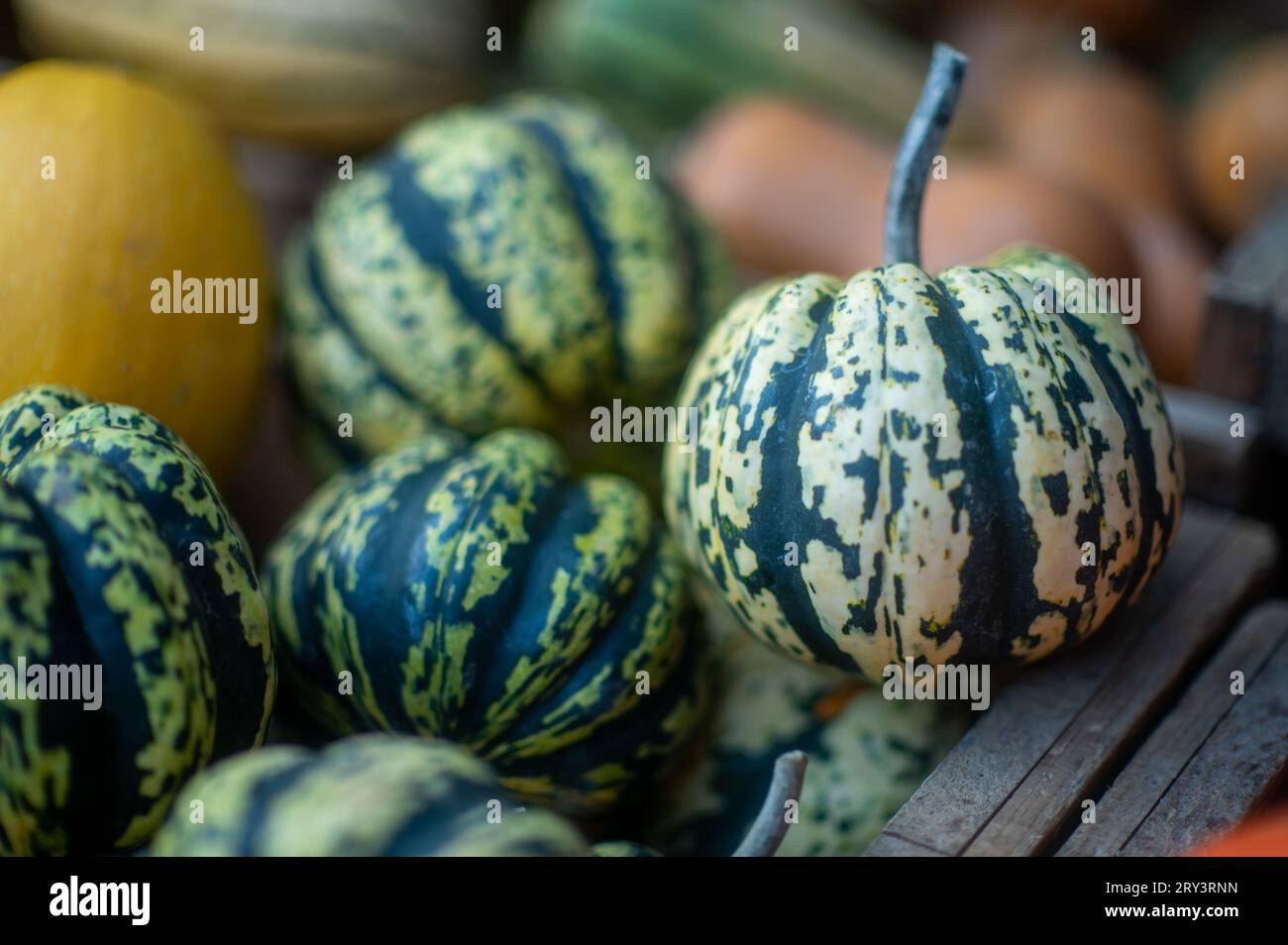 Pumpkins at a farmers market Stock Photo - Alamy