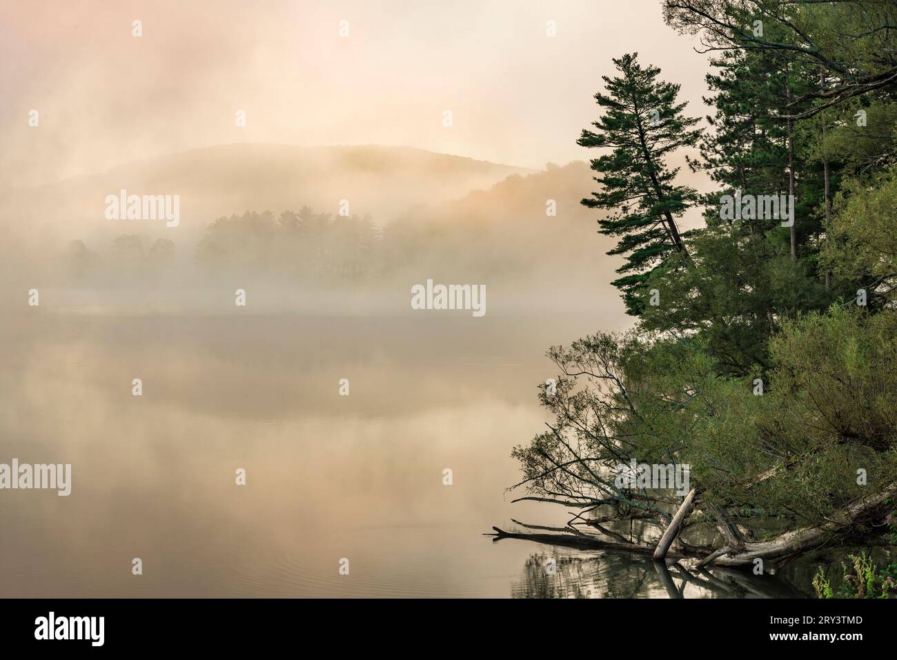 Foggy morning on Red House Lake, Allegany State Park, Cattaraugus County, New York Stock Photo