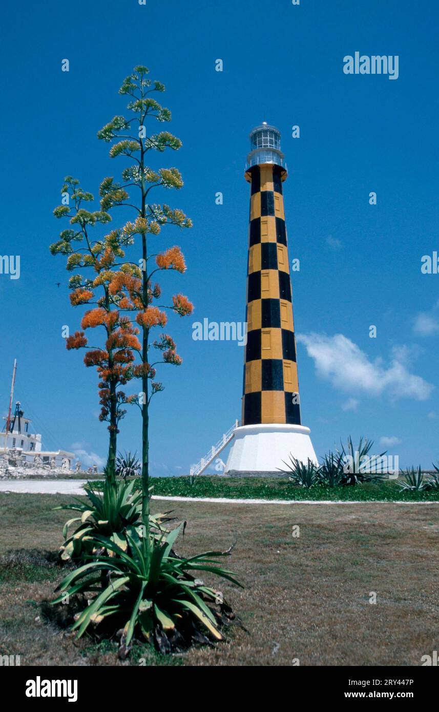 Lighthouse and Agave (Agave), Punta el Faro, Cayo Paredon Grande, Cuba Stock Photo