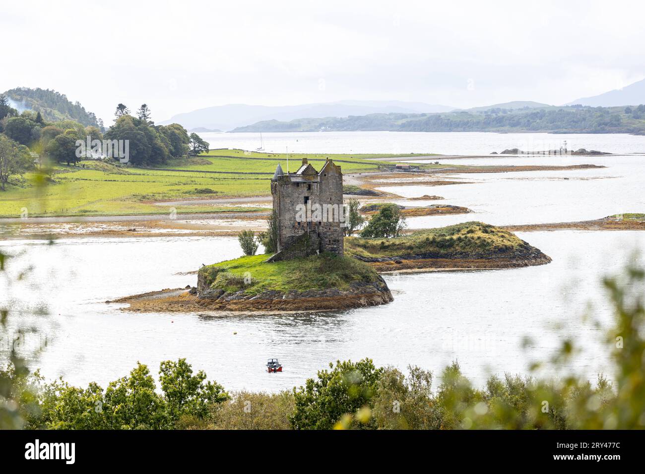 Monty python and the holy grail coconut hi-res stock photography and ...