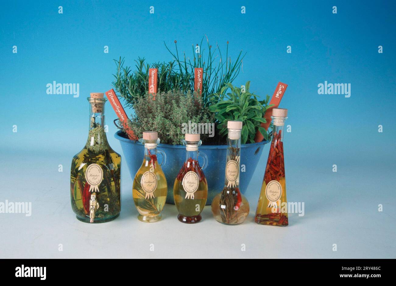 Herbs in flowerpot and bottles of Herb Oil, herbs in flowerpot and bottles of herb oil, herb oil, cooking oil, cut out, object, object, food, food Stock Photo