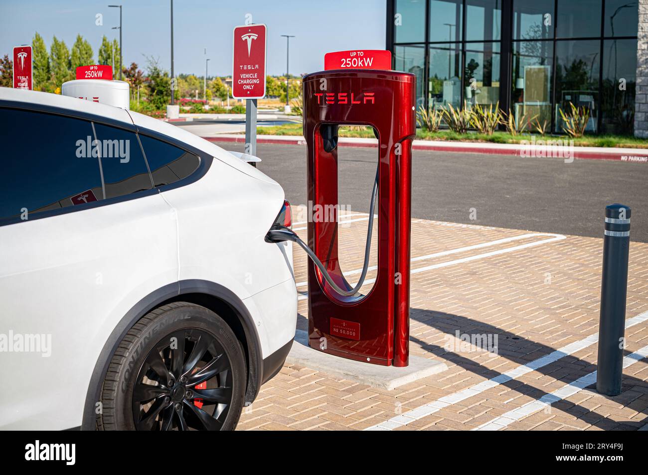 A Model X Tesla charges at the special crimson edition of the 50,000
