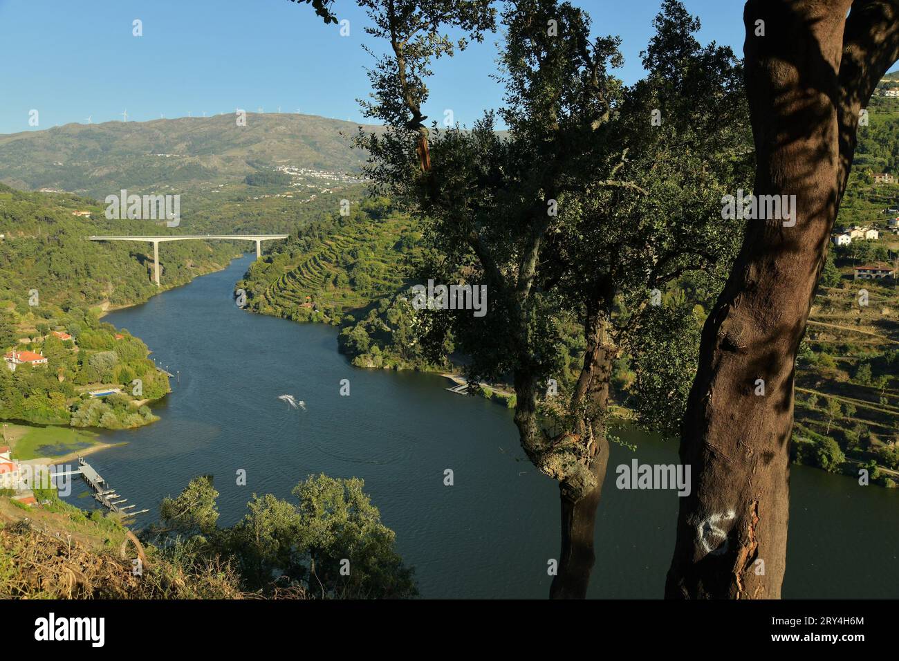 vineyards and charming native farms cling to the steep sides of the ...