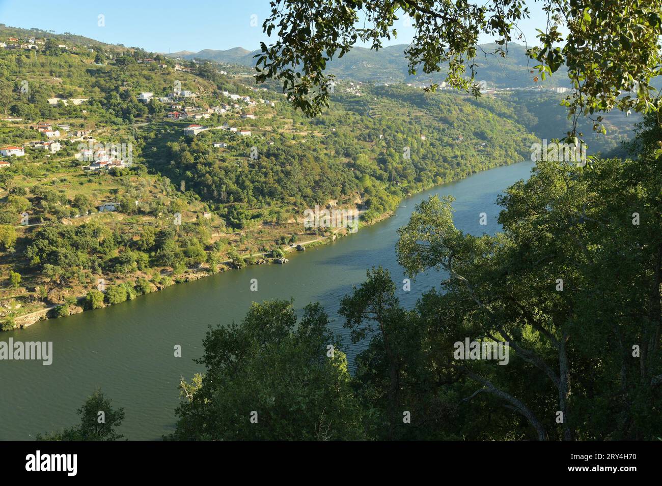 vineyards and charming native farms cling to the steep sides of the ...
