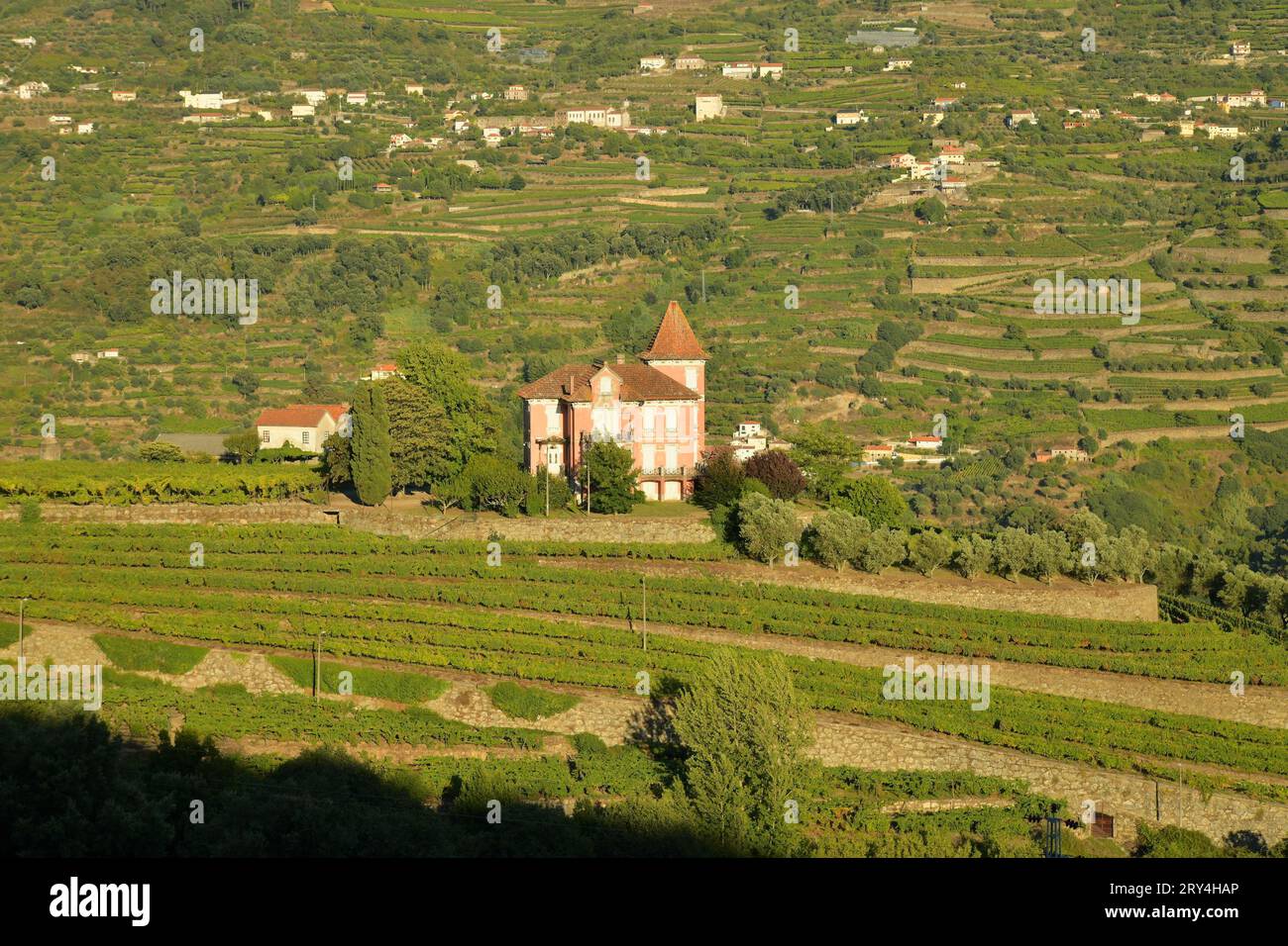 vineyards and charming native farms cling to the steep sides of the ...