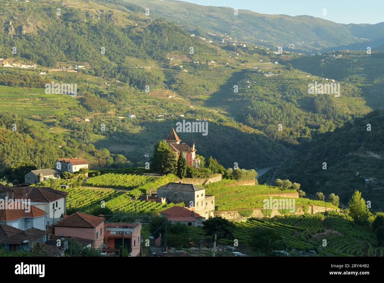 vineyards and charming native farms cling to the steep sides of the ...