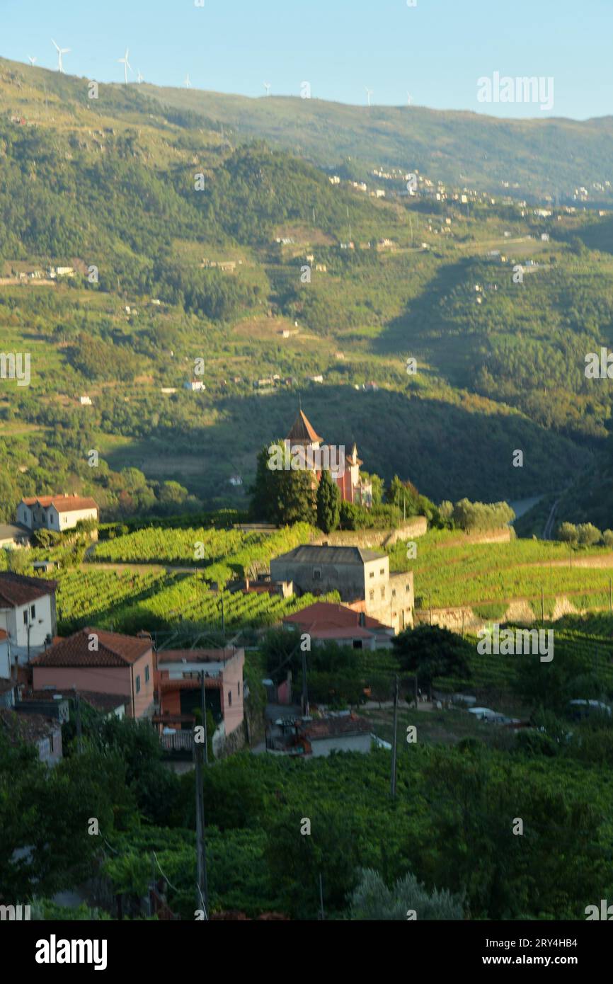 vineyards and charming native farms cling to the steep sides of the ...