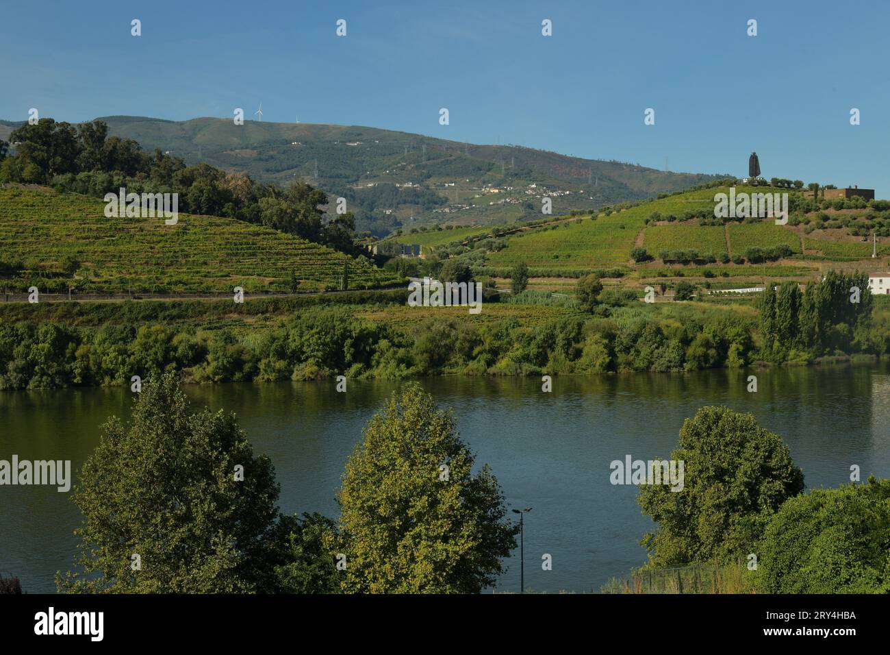 vineyards and charming native farms cling to the steep sides of the ...