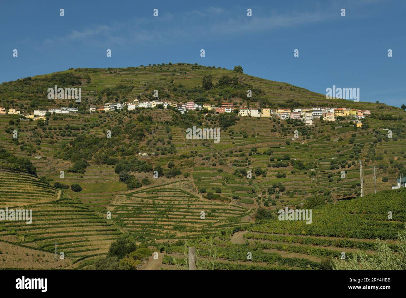 vineyards and charming native farms cling to the steep sides of the ...
