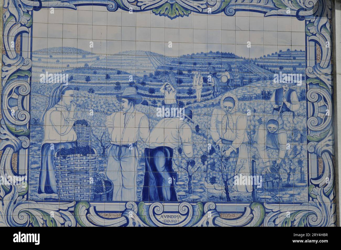 vineyards and charming native farms cling to the steep sides of the ...