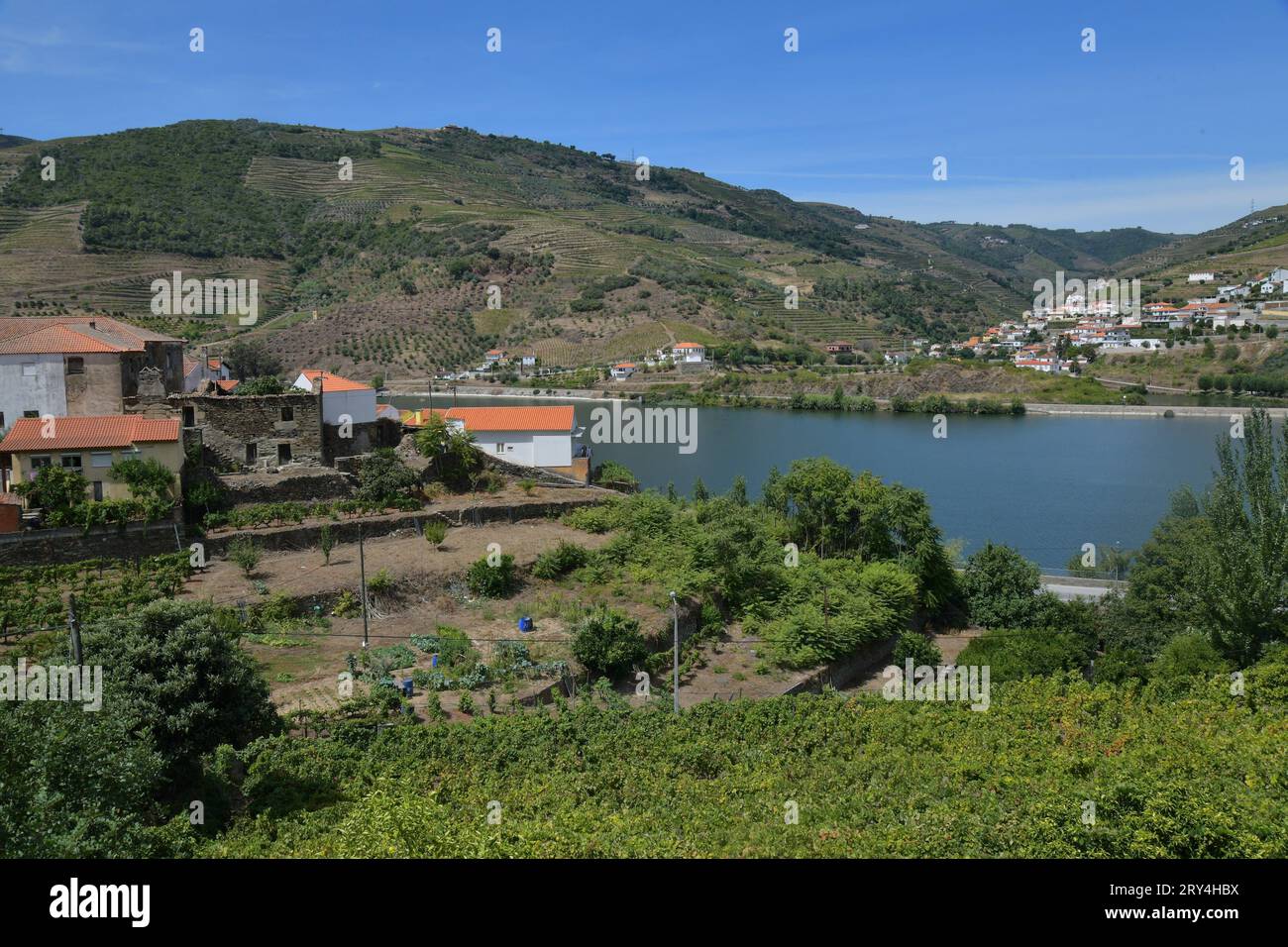 vineyards and charming native farms cling to the steep sides of the ...