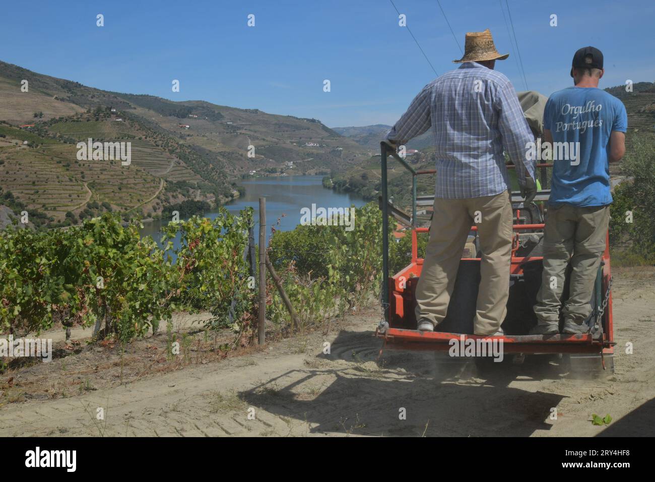 vineyards and charming native farms cling to the steep sides of the ...