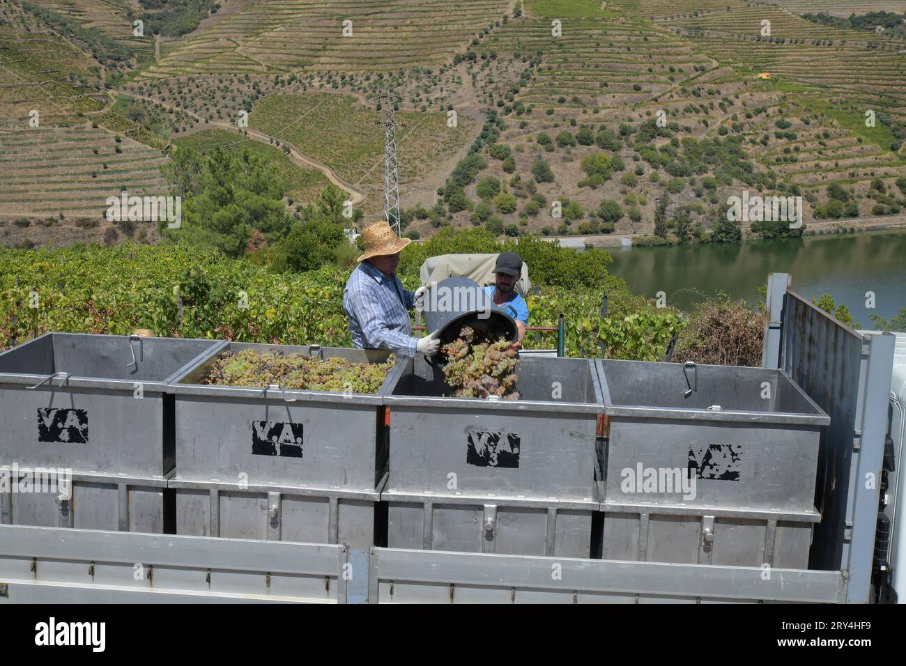 vineyards and charming native farms cling to the steep sides of the ...