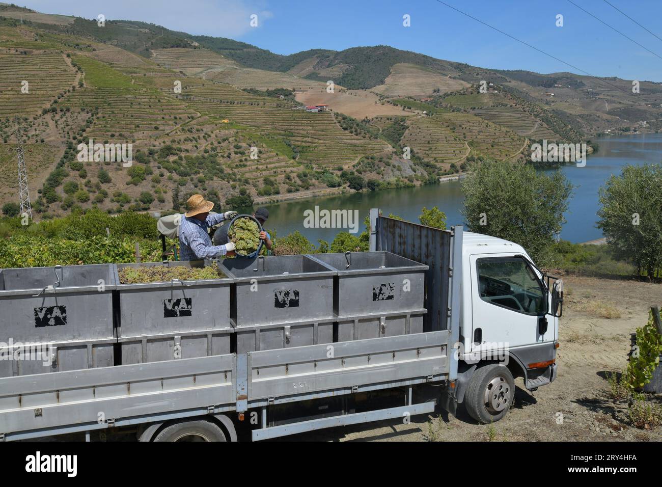 vineyards and charming native farms cling to the steep sides of the ...