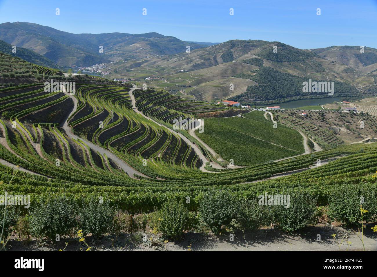vineyards and charming native farms cling to the steep sides of the ...