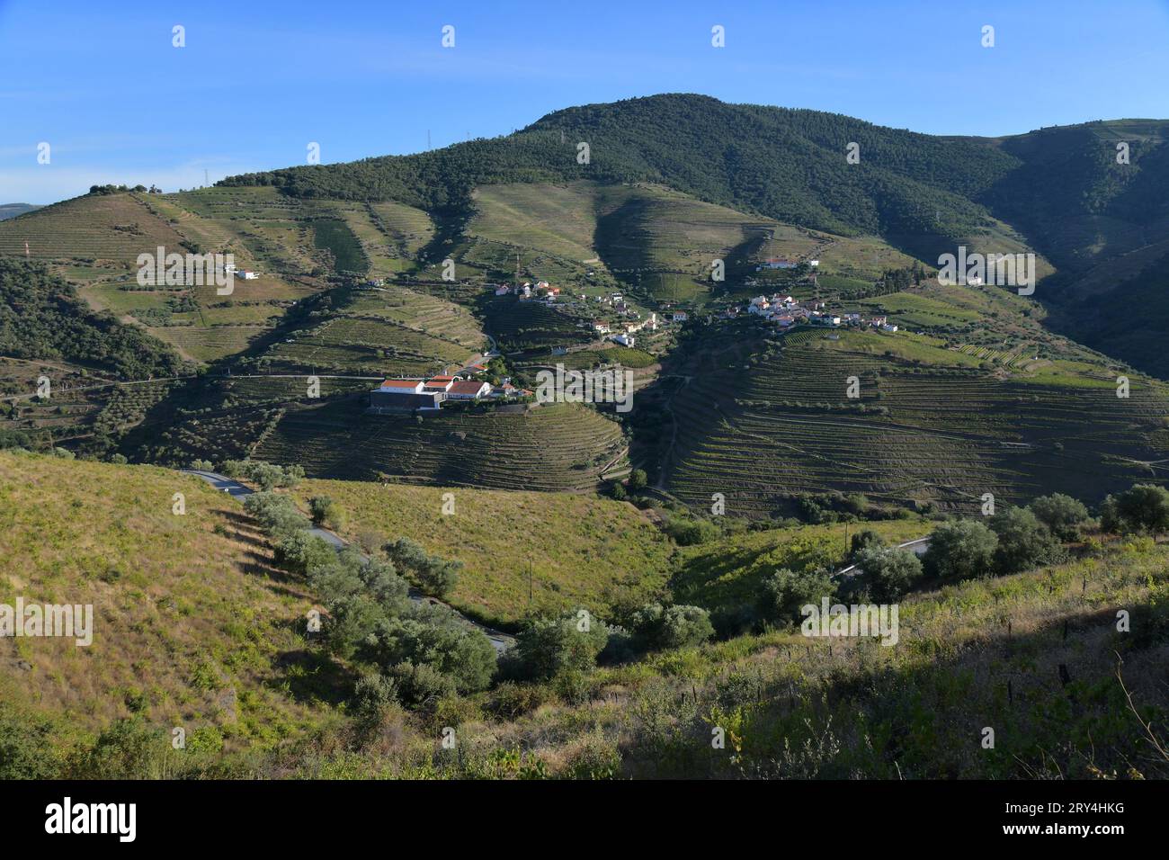 vineyards and charming native farms cling to the steep sides of the ...