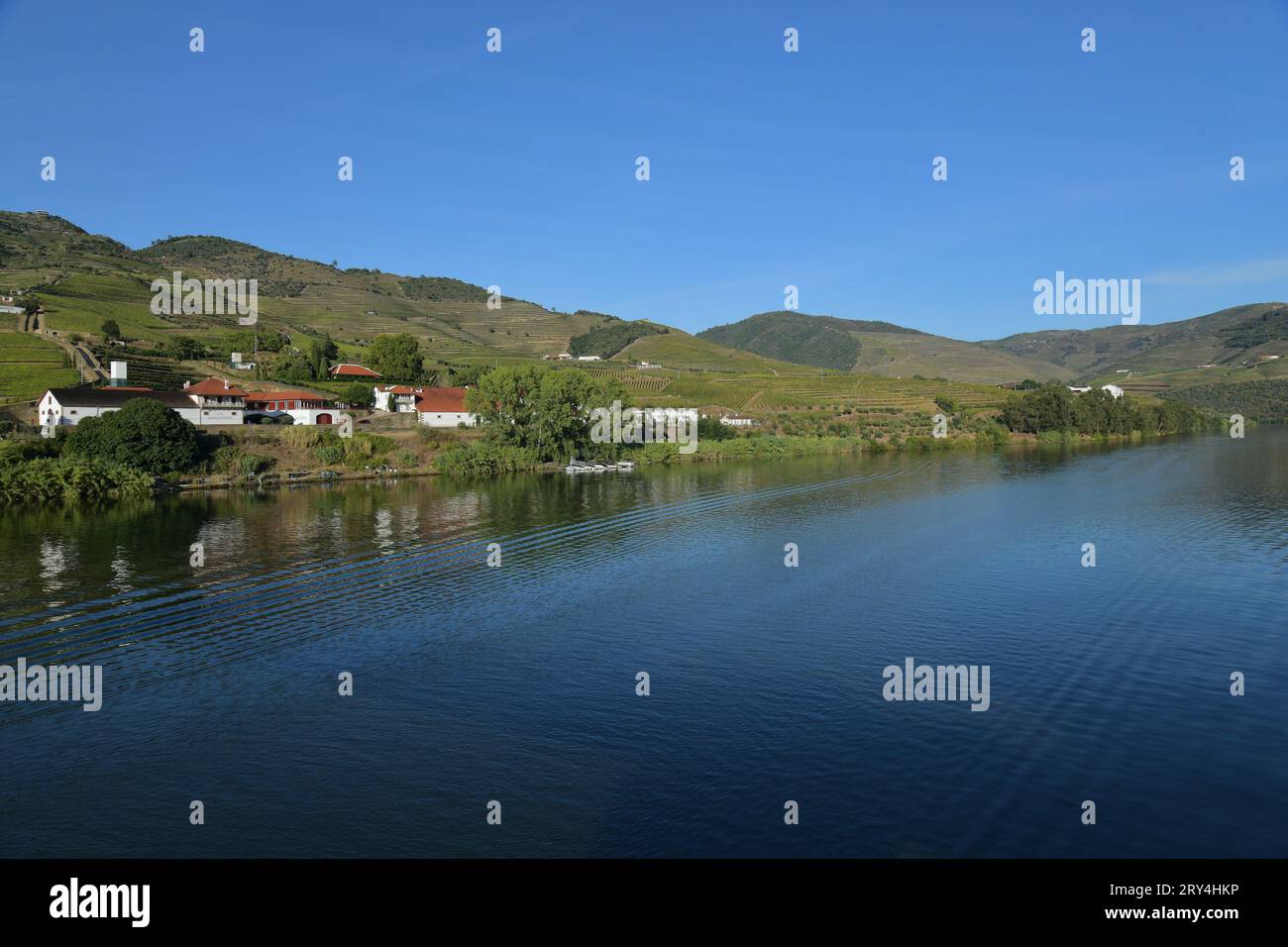 vineyards and charming native farms cling to the steep sides of the ...