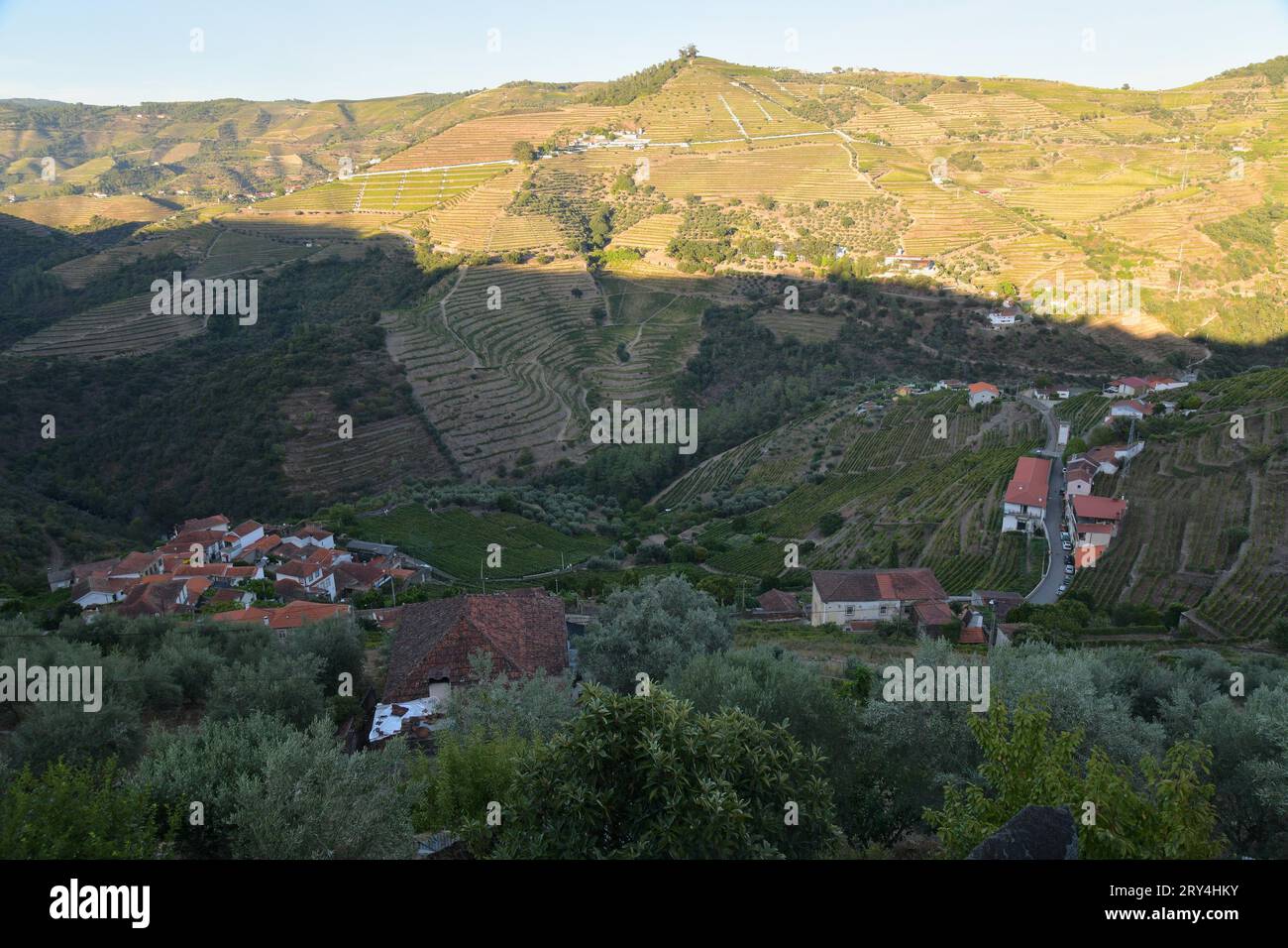 vineyards and charming native farms cling to the steep sides of the ...